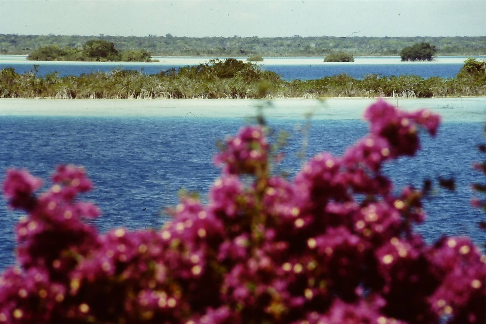 The lagoon · right in front